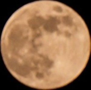 Meet your Posher, Angela